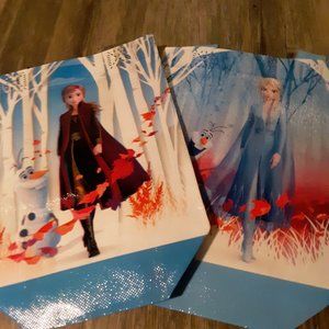 Frozen Bags set of 2